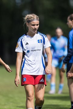 Bild 250 - wBJ Hamburger SV - VfL Wolfsburg : Ergebnis: 5:1